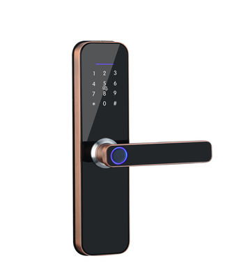 品質  Tuya Smart Door Lock Series Door Locks WIFI Fingerprint Cheap Zinc Alloy Phone Smart Door Lock Work With TT LOCK APP 工場