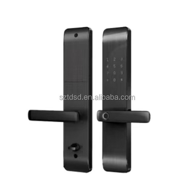 2022 Wifi China Tuya APP smart home expansion smart door lock for smart home